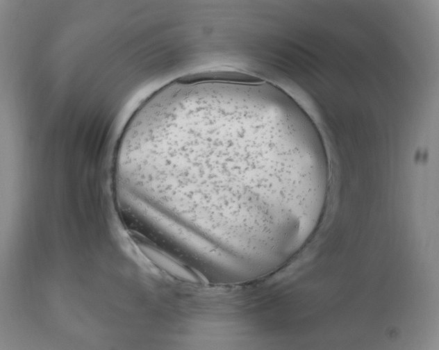 X0000113221104200910011339