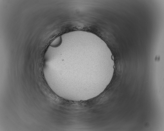 X0000113221105200910011338