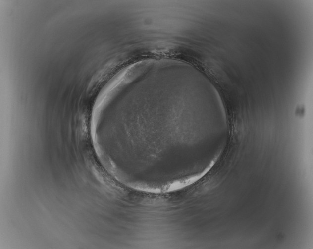 X0000113221106200910011338