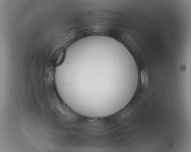 X0000113221107200910011338