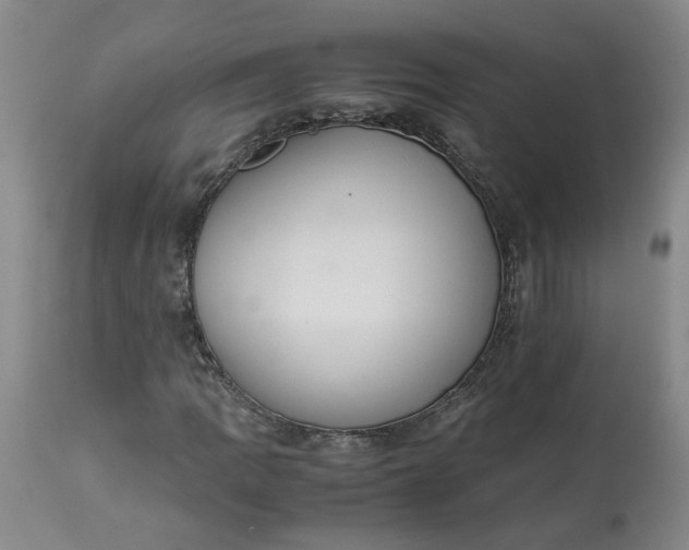 X0000113221109200910011338