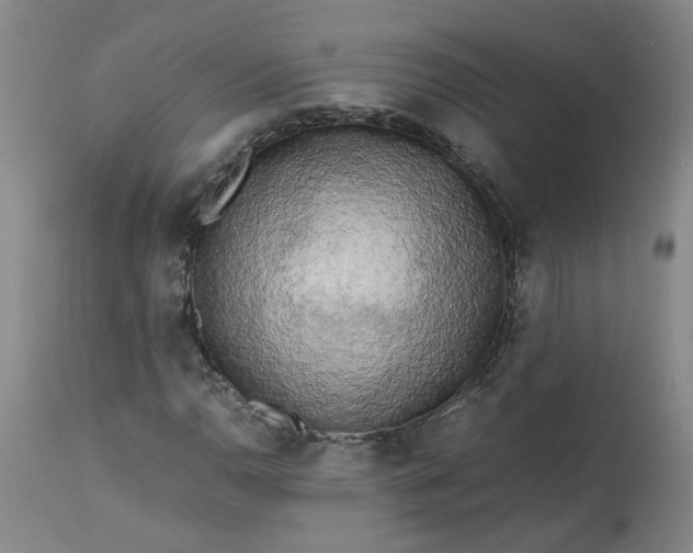 X0000113221110200910011338