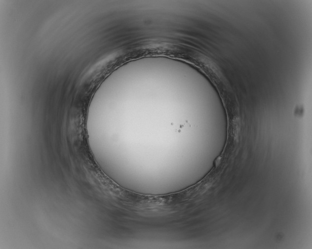 X0000113221111200910011338