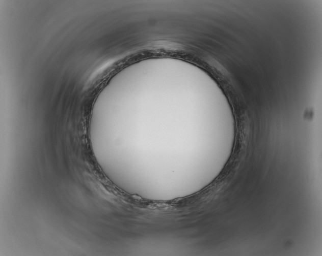 X0000113221112200910011338