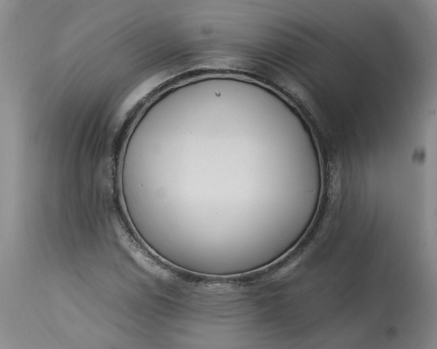 X0000113221114200910011338