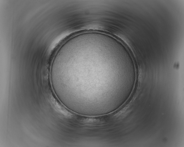 X0000113221115200910011338