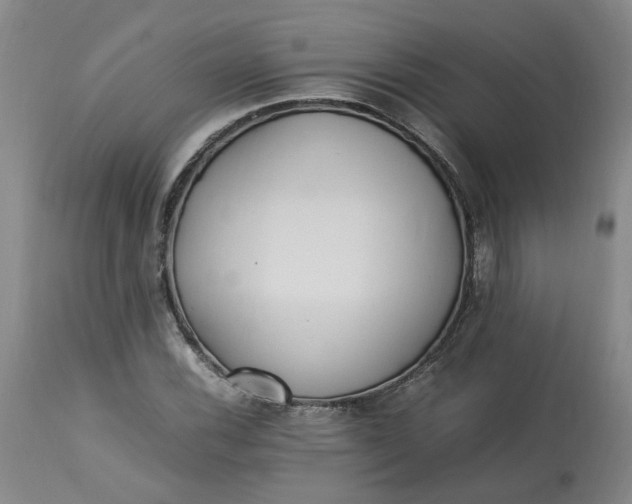 X0000113221116200910011338