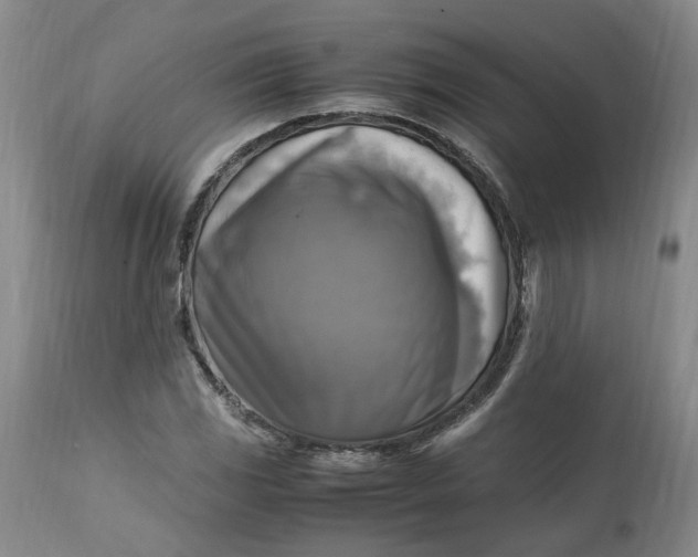 X0000113221117200910011338