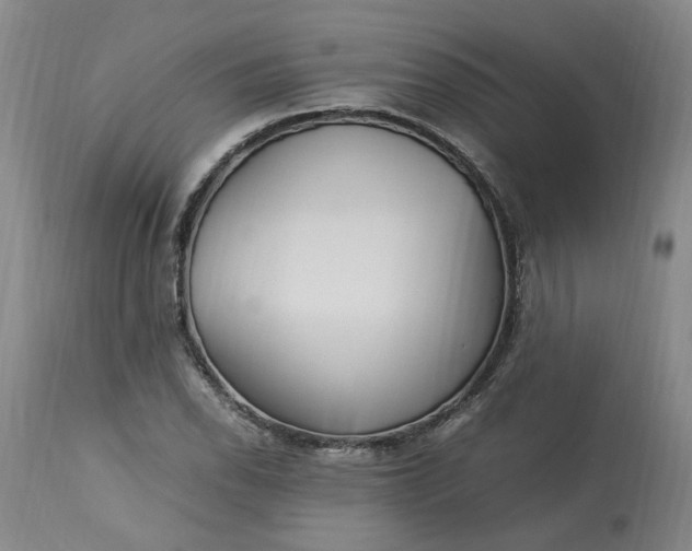 X0000113221118200910011338