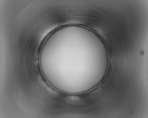 X0000113221119200910011338