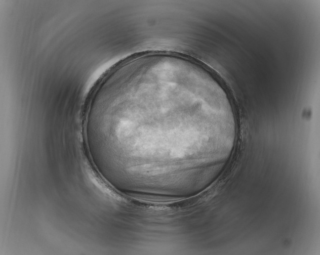 X0000113221120200910011338