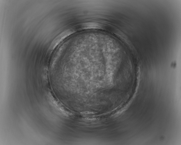 X0000113221121200910011338