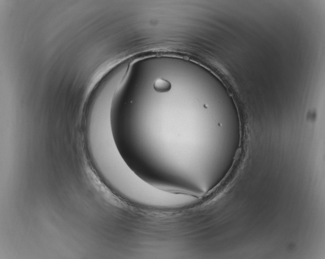 X0000113221122200910011338