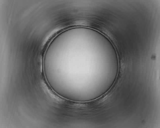 X0000113221123200910011338