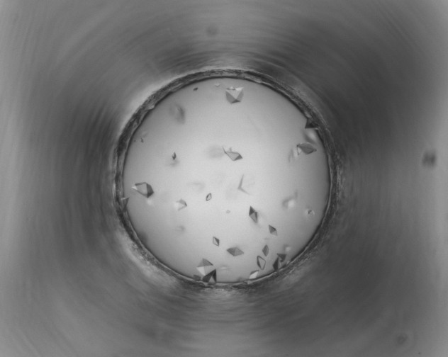 X0000113221124200910011338