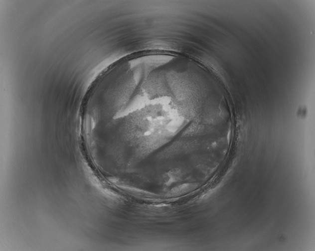 X0000113221125200910011338