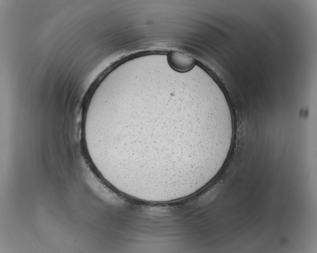 X0000113221126200910011338