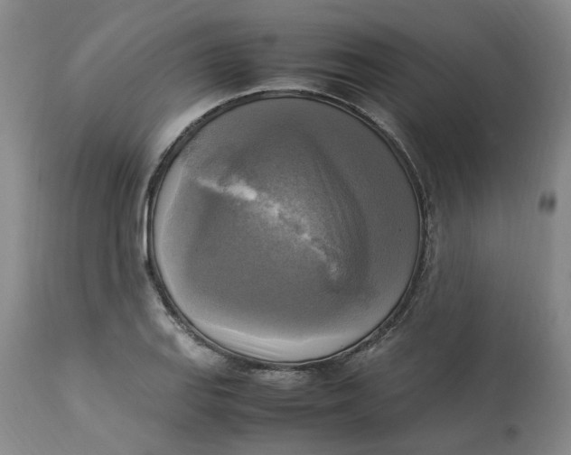 X0000113221127200910011338