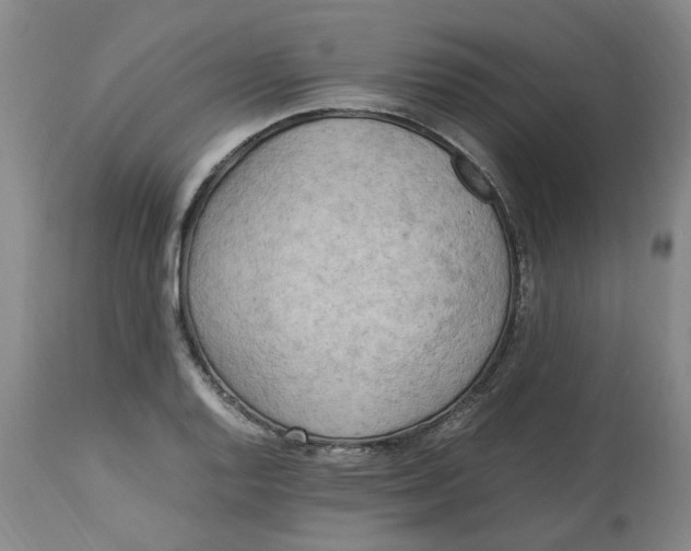 X0000113221128200910011338