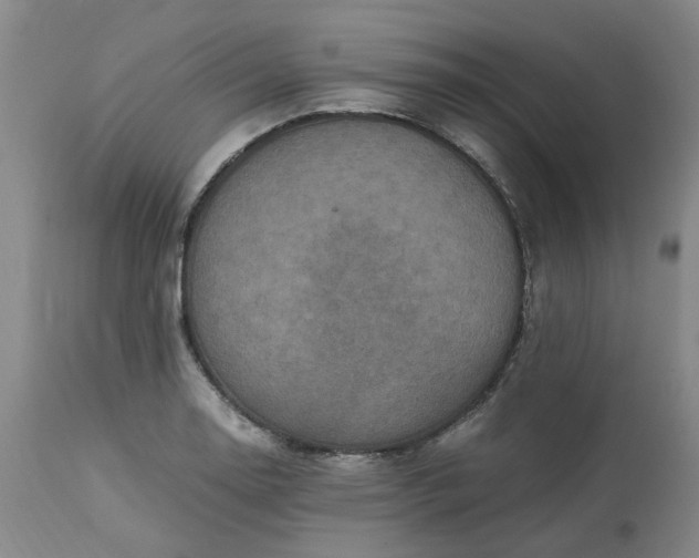 X0000113221130200910011338