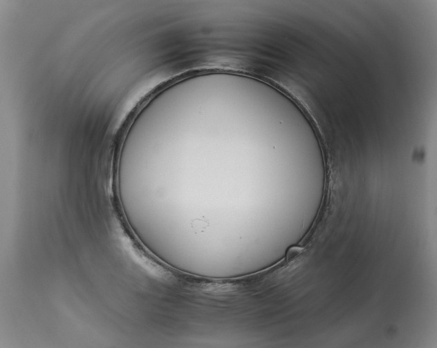 X0000113221131200910011338