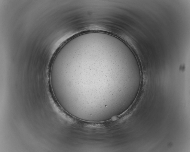 X0000113221133200910011338