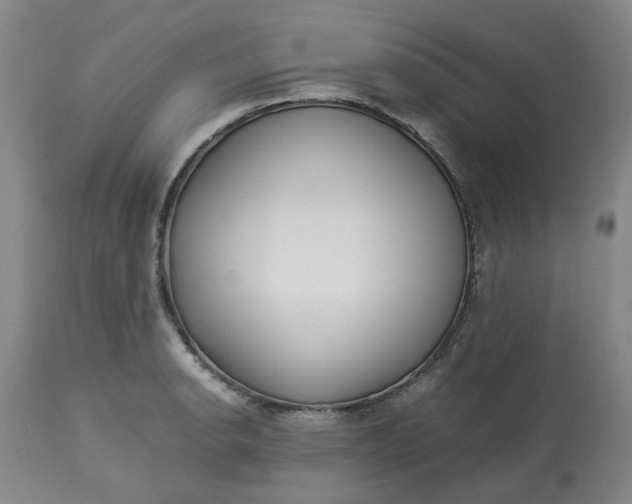 X0000113221134200910011338