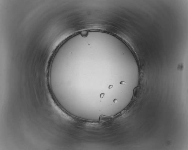 X0000113221135200910011338