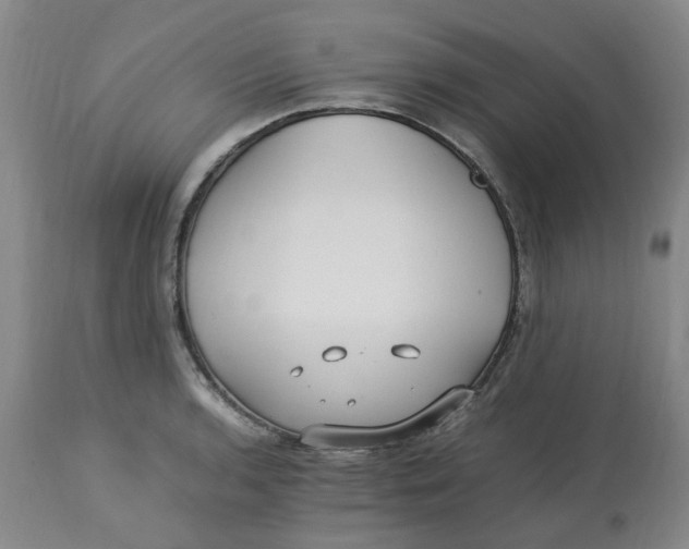 X0000113221136200910011338