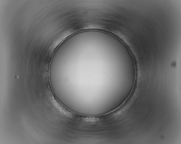 X0000113221137200910011338