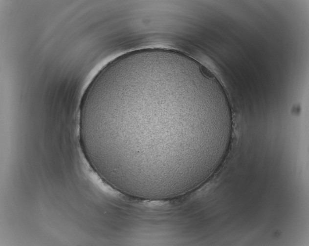 X0000113221140200910011338