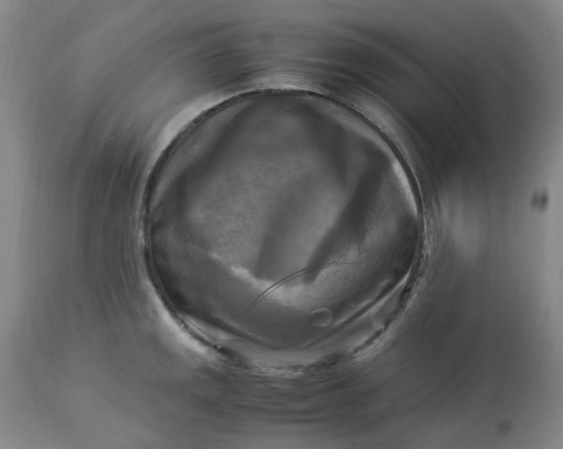 X0000113221141200910011338