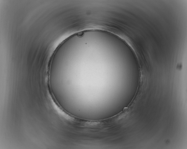 X0000113221143200910011338