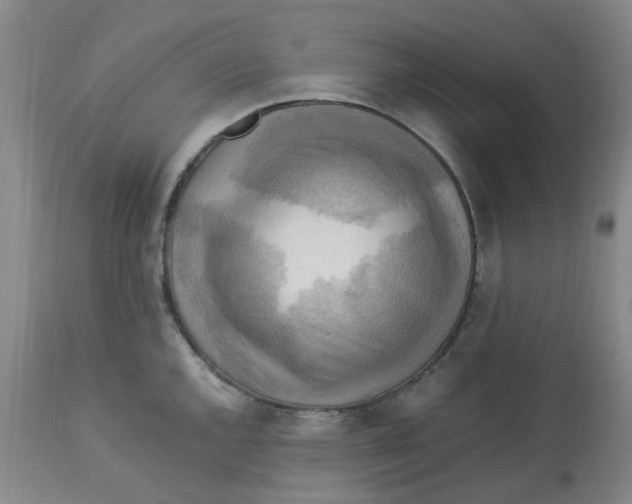 X0000113221144200910011338