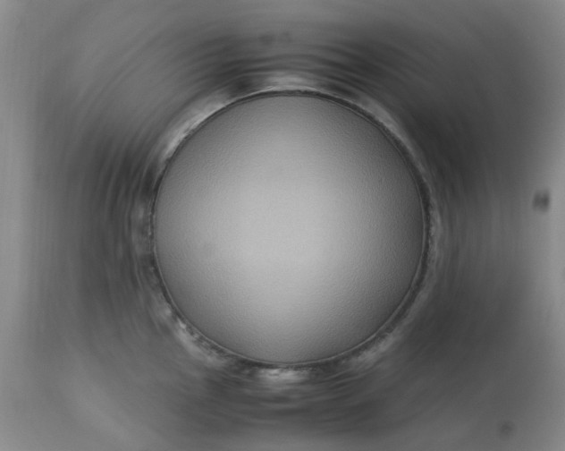 X0000113221145200910011338