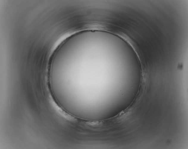 X0000113221147200910011338