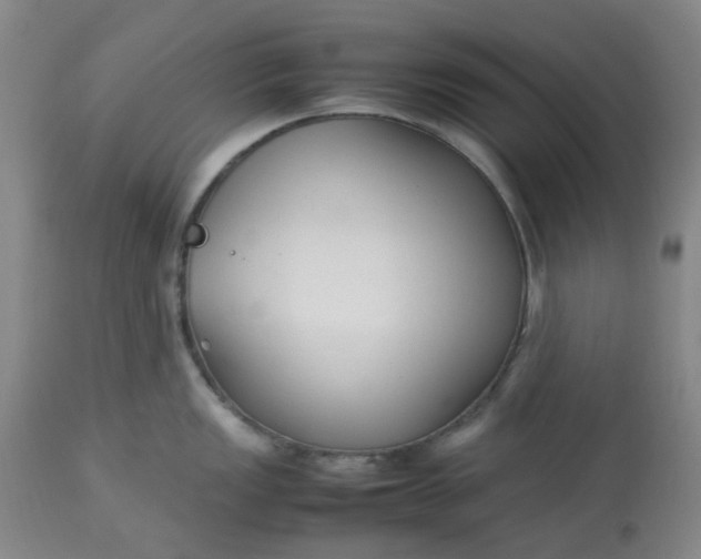 X0000113221149200910011338