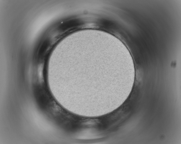 X0000113221150200910011338