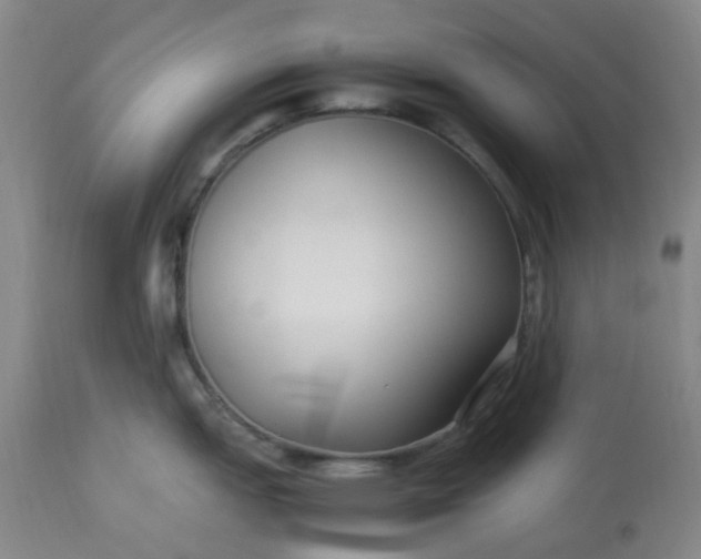 X0000113221151200910011338