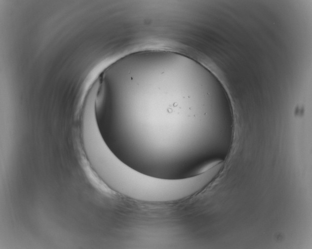 X0000113221152200910011338