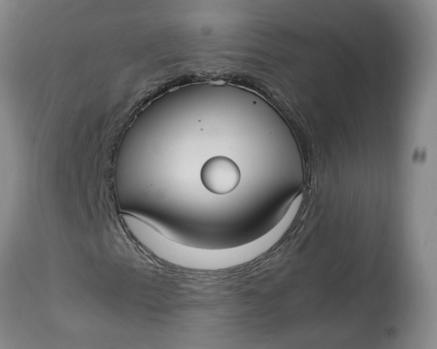 X0000113221153200910011337