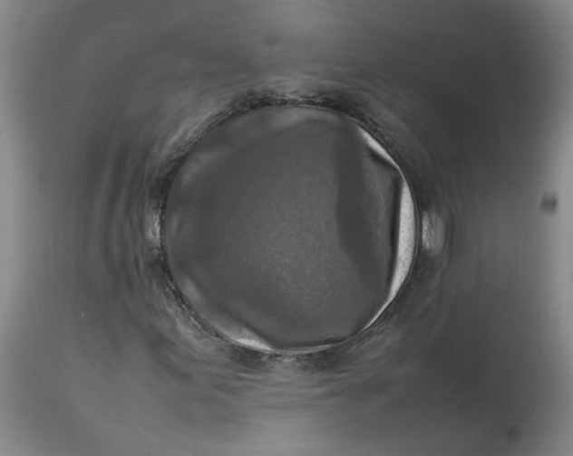 X0000113221155200910011337