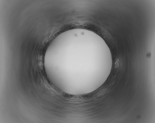 X0000113221156200910011337