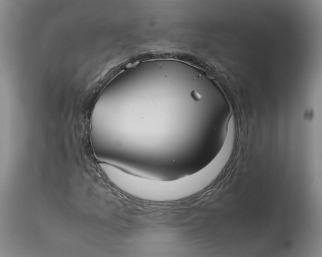 X0000113221157200910011337