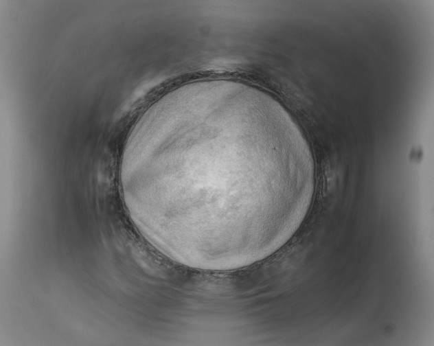 X0000113221158200910011337