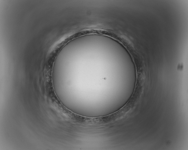 X0000113221159200910011337