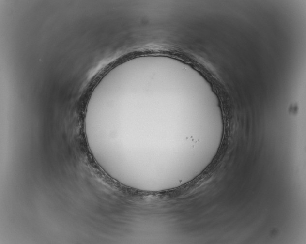 X0000113221160200910011337