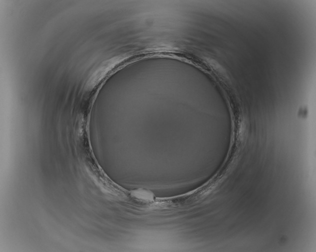 X0000113221161200910011337