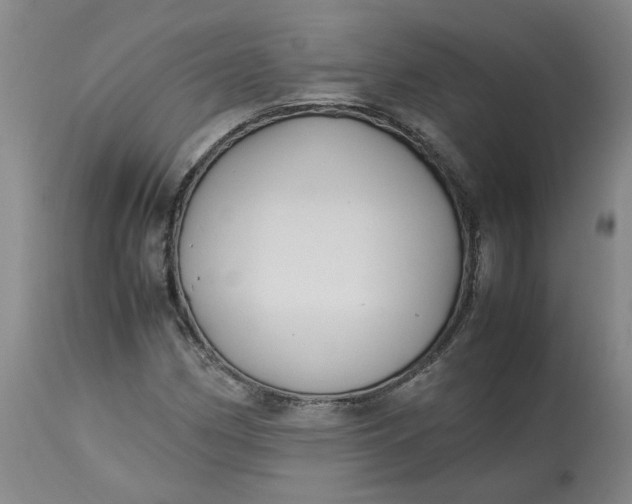 X0000113221162200910011337