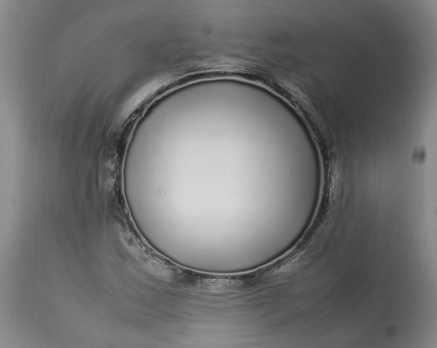 X0000113221163200910011337